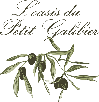 L'OASIS DU PETIT GALIBIER